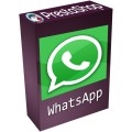 WhatsApp Connect FREE